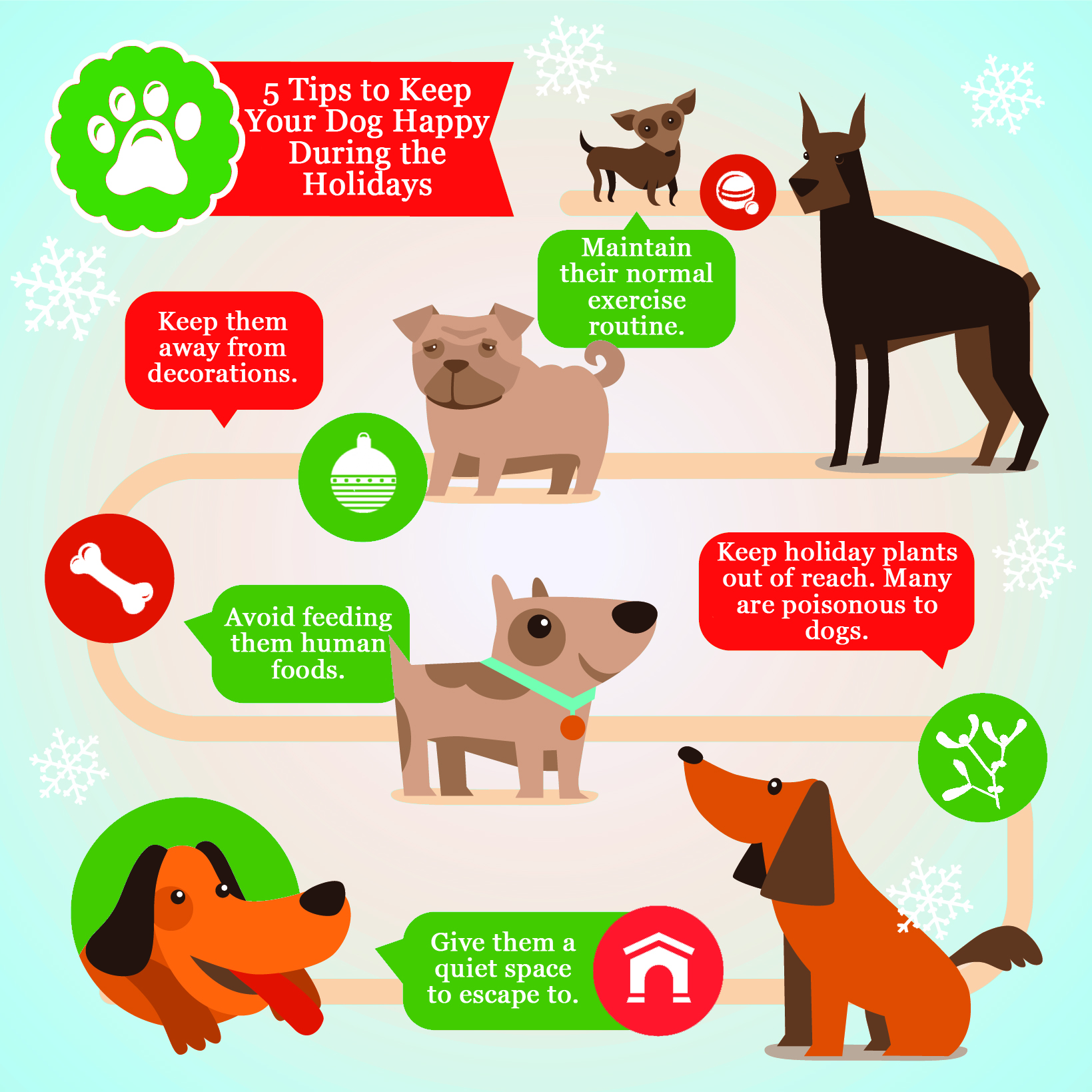 Dog Holiday Infogram