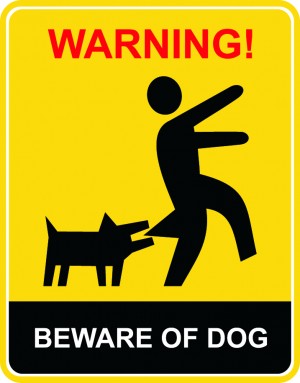 Dog Liability Insurance