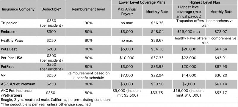 Beagle Insurance Plan Comparison