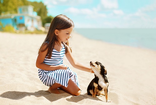 Girl and dog on the beach in summer day